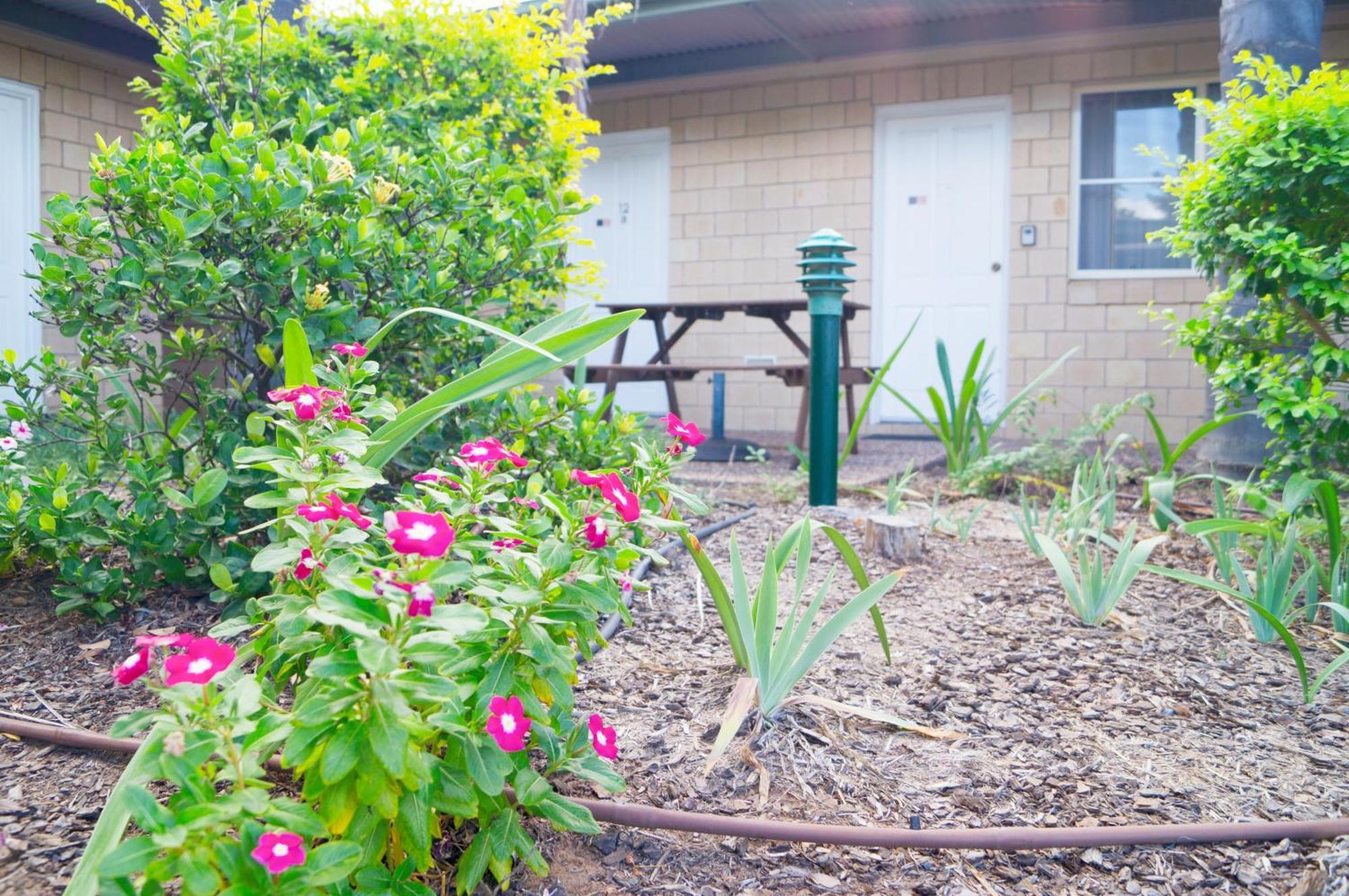 Jacaranda Country Motel Σεντ Τζορτζ Εξωτερικό φωτογραφία